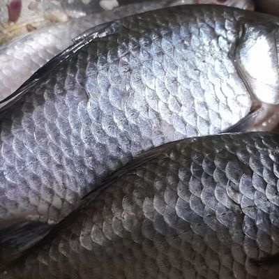 Bước 2