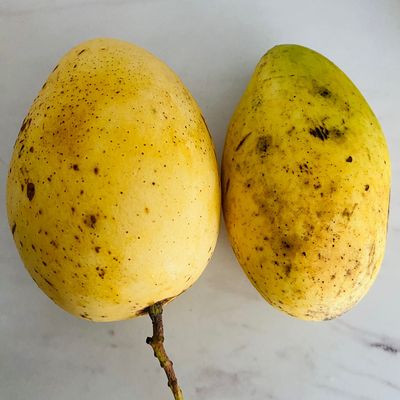 Bước 7