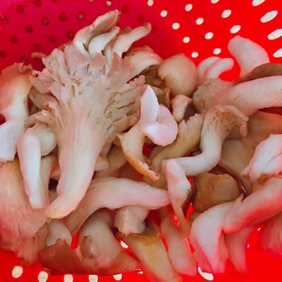 Bước 1