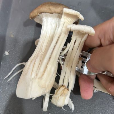 Bước 1