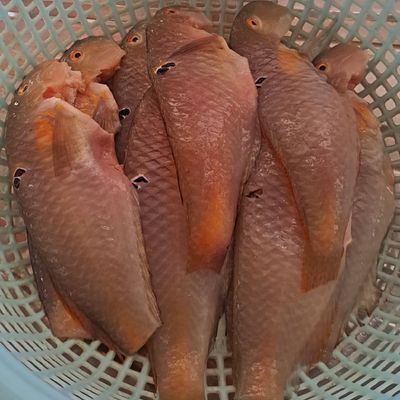 Bước 1