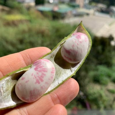 Bước 1