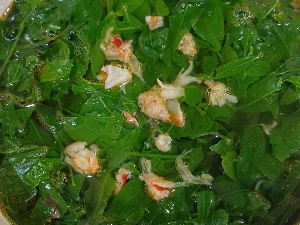 Canh rau sắng nấu tôm