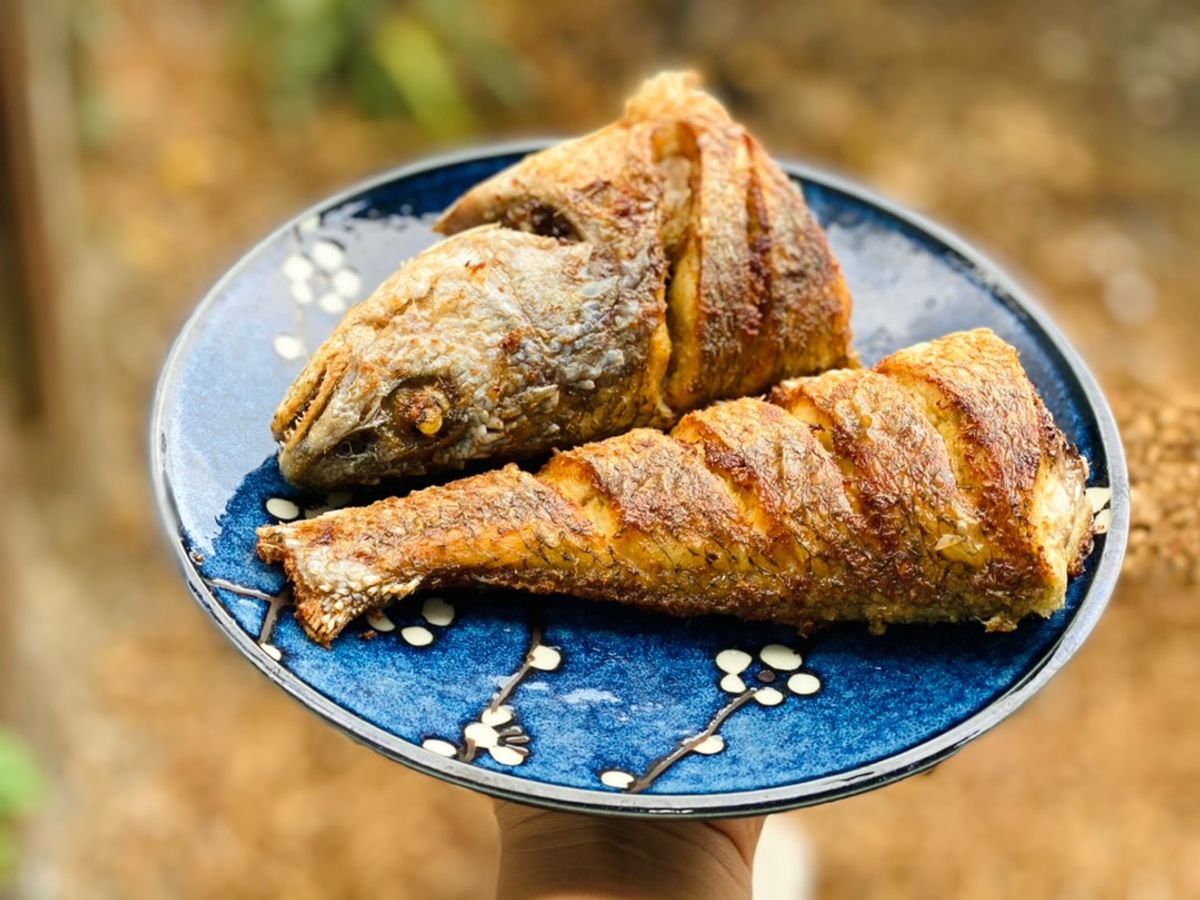Cá Hồng Biển Chiên Muối Sả