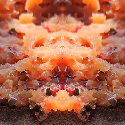 Bước 1