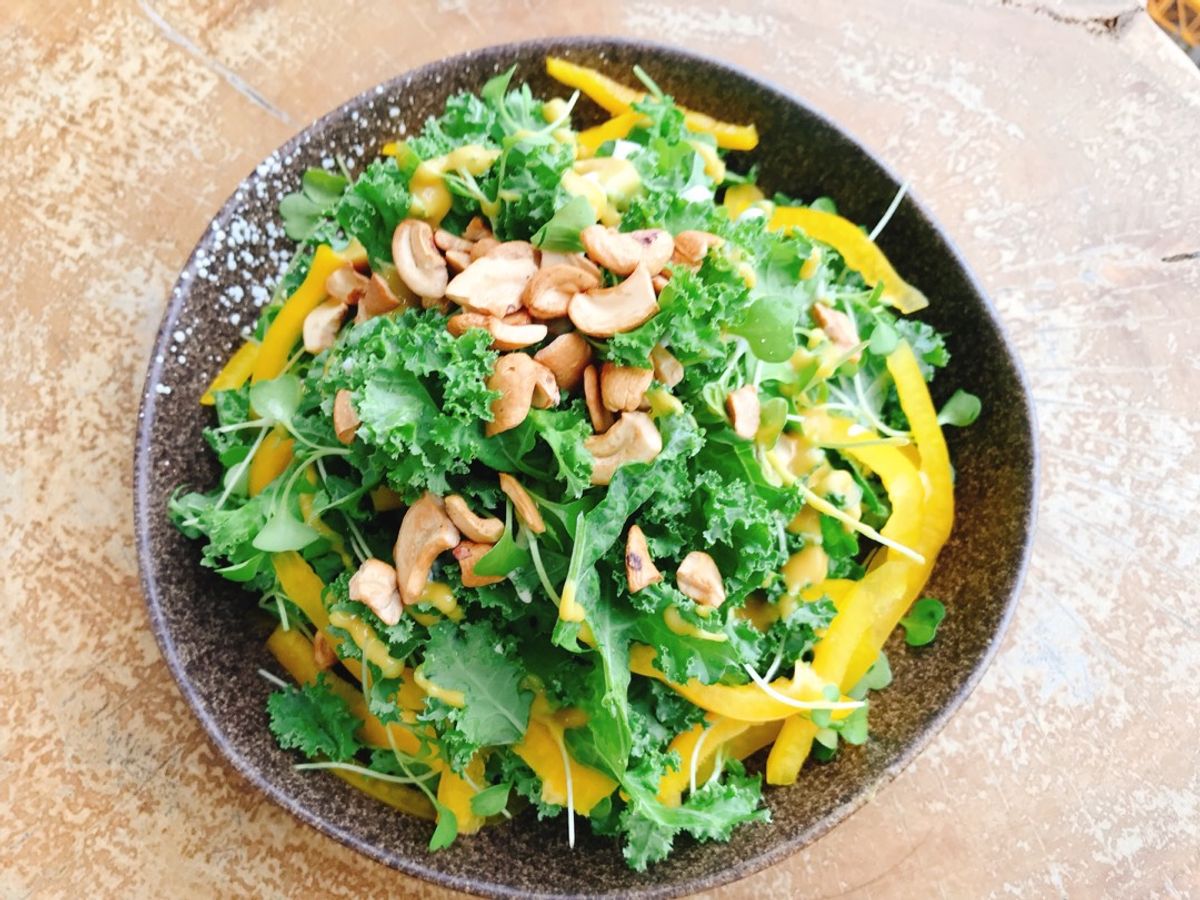 Salad cải kale rau mầm