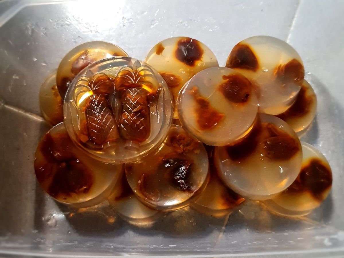 Rau câu (đông sương) nhãn nhục