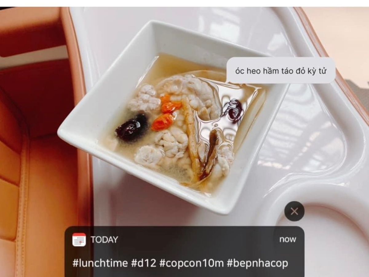Óc heo hầm thuốc bắc