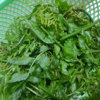 Bước 1