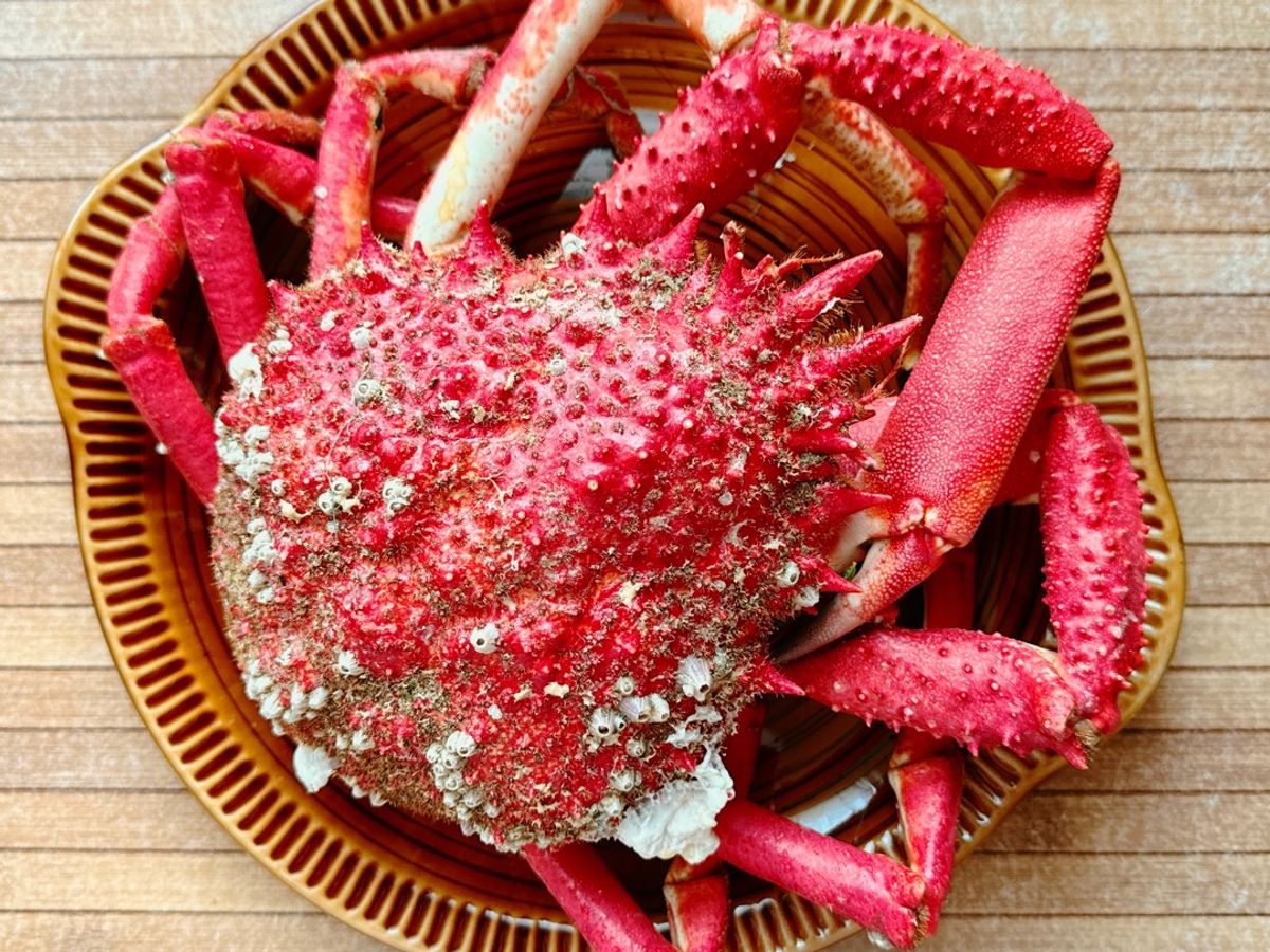 Cua Nhện Biển Luộc