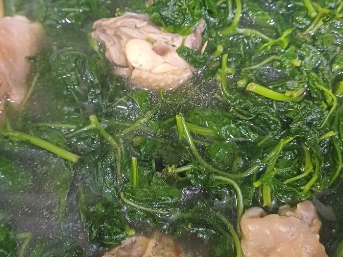 Rau thù lù (hoặc tầm bóp) nấu gà
