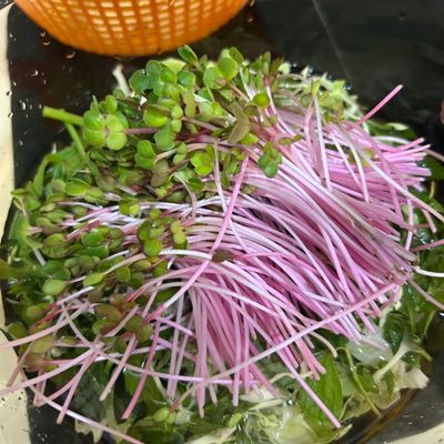 Bước 1