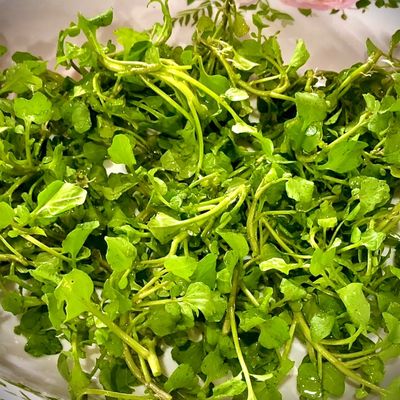 Bước 6