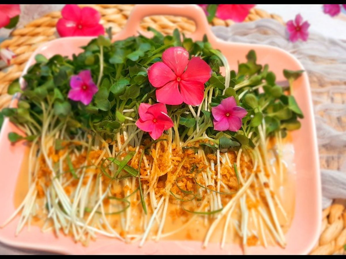Salad rau mầm