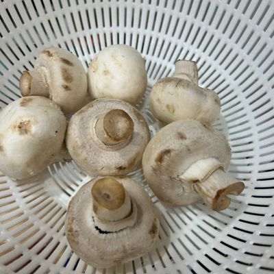 Bước 2
