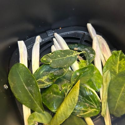 Bước 3