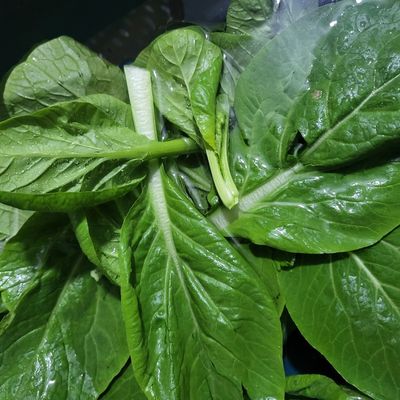 Bước 1