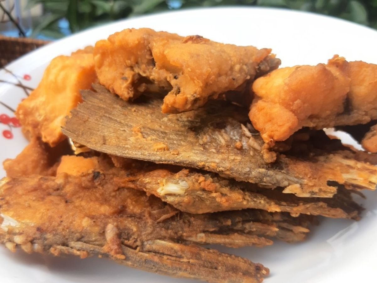 Vây cá hồi lăn bột chiên giòn