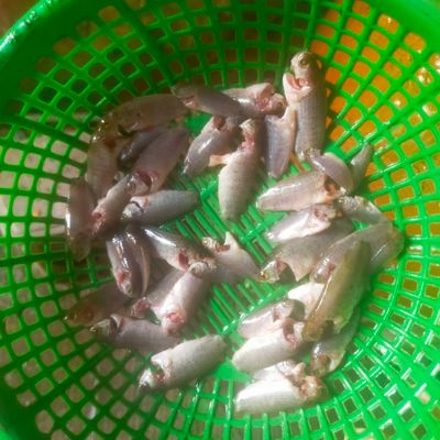 Bước 1