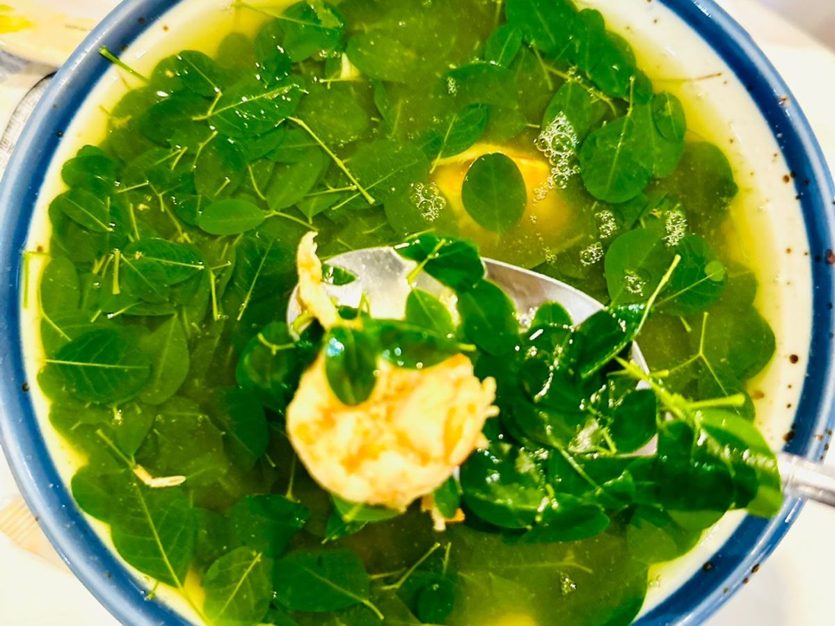 Canh rau chùm ngây nấu tôm 🌿🦐
