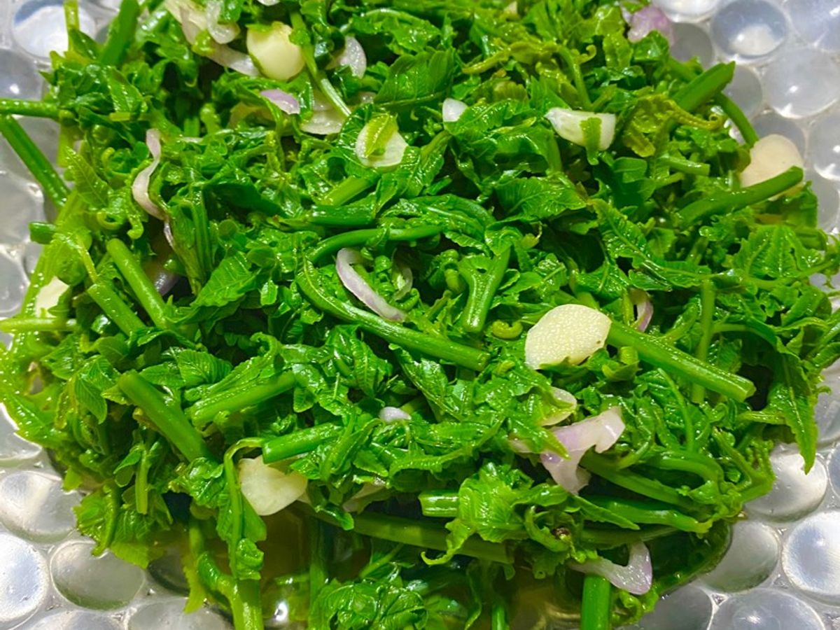Rau Dớn (rau rớn) nộm
