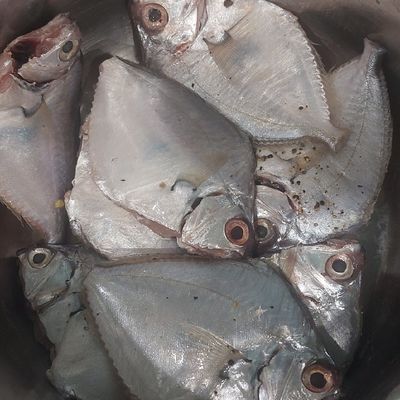 Bước 1