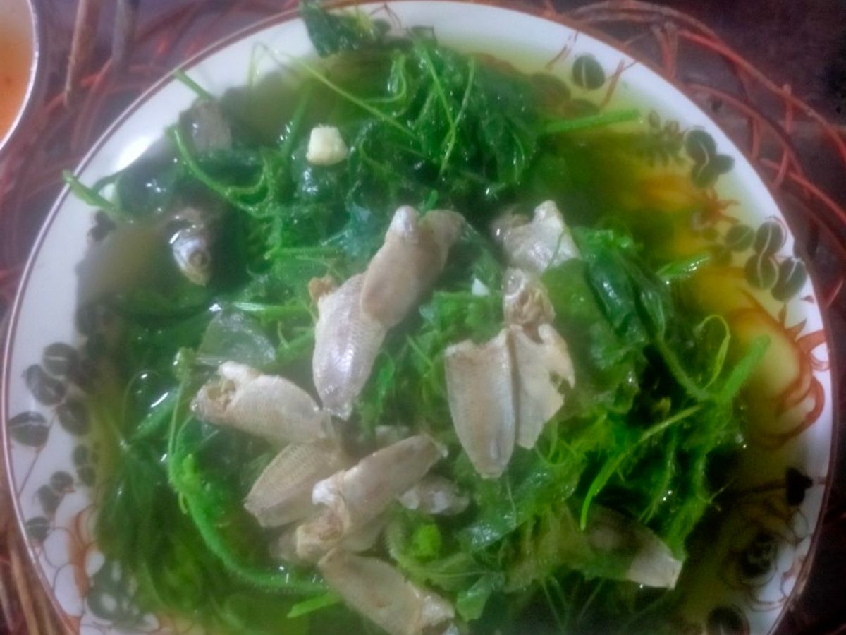 Canh cá rô đồng đọt nhãn lồng