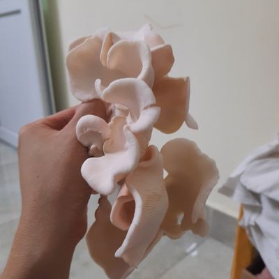 Bước 1