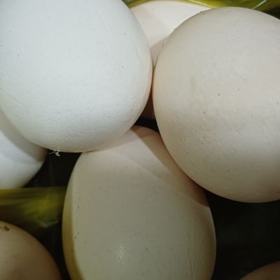 Bước 2