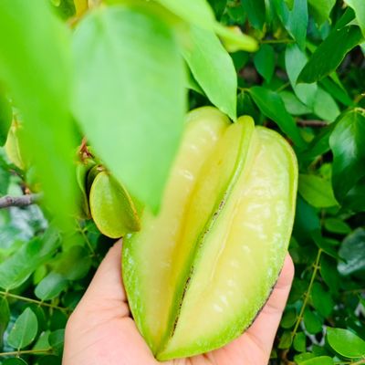 Bước 1