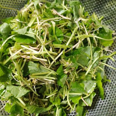 Bước 1