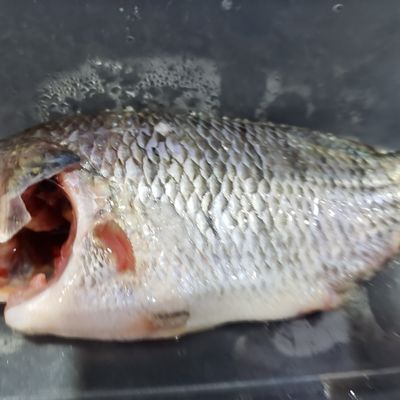 Bước 2