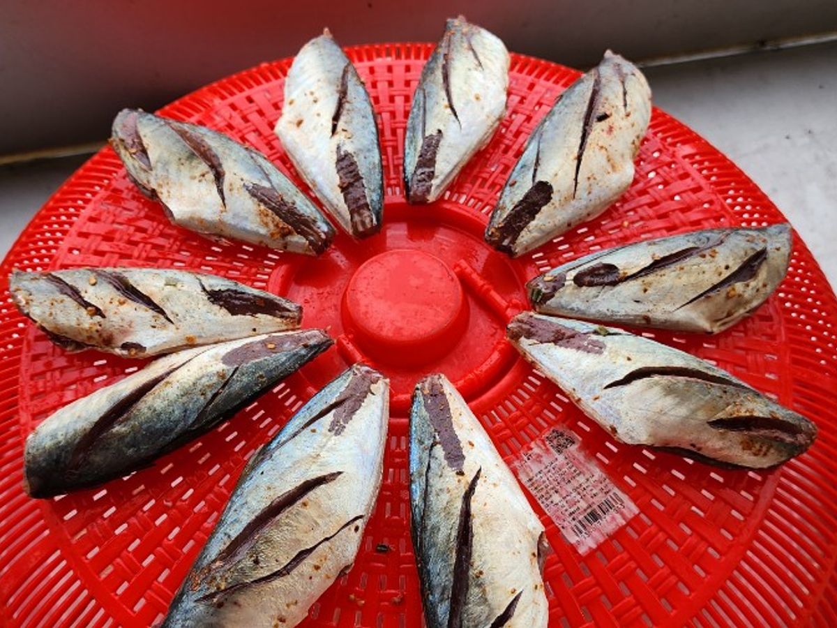 Cá nục một nắng