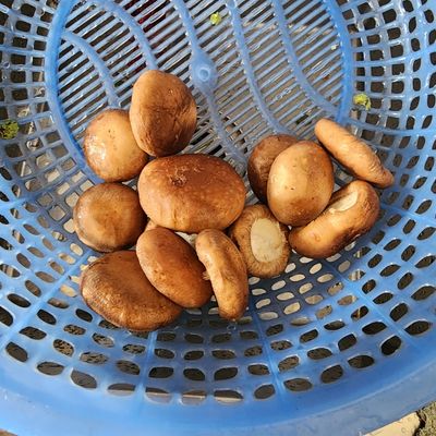Bước 1