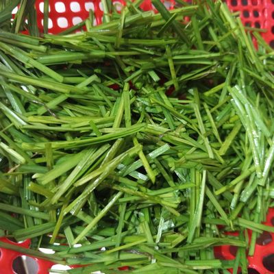 Bước 1