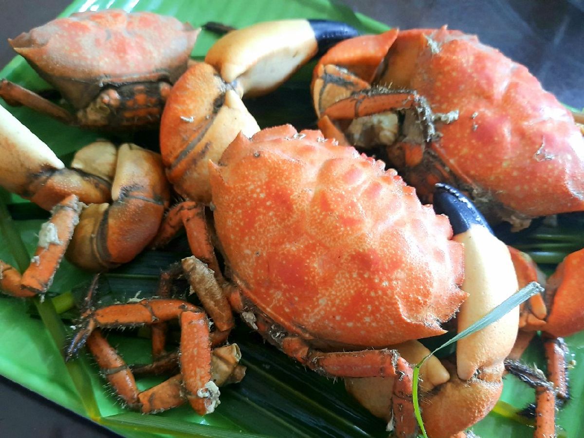 Cù kỳ (cua sấm) luộc bia