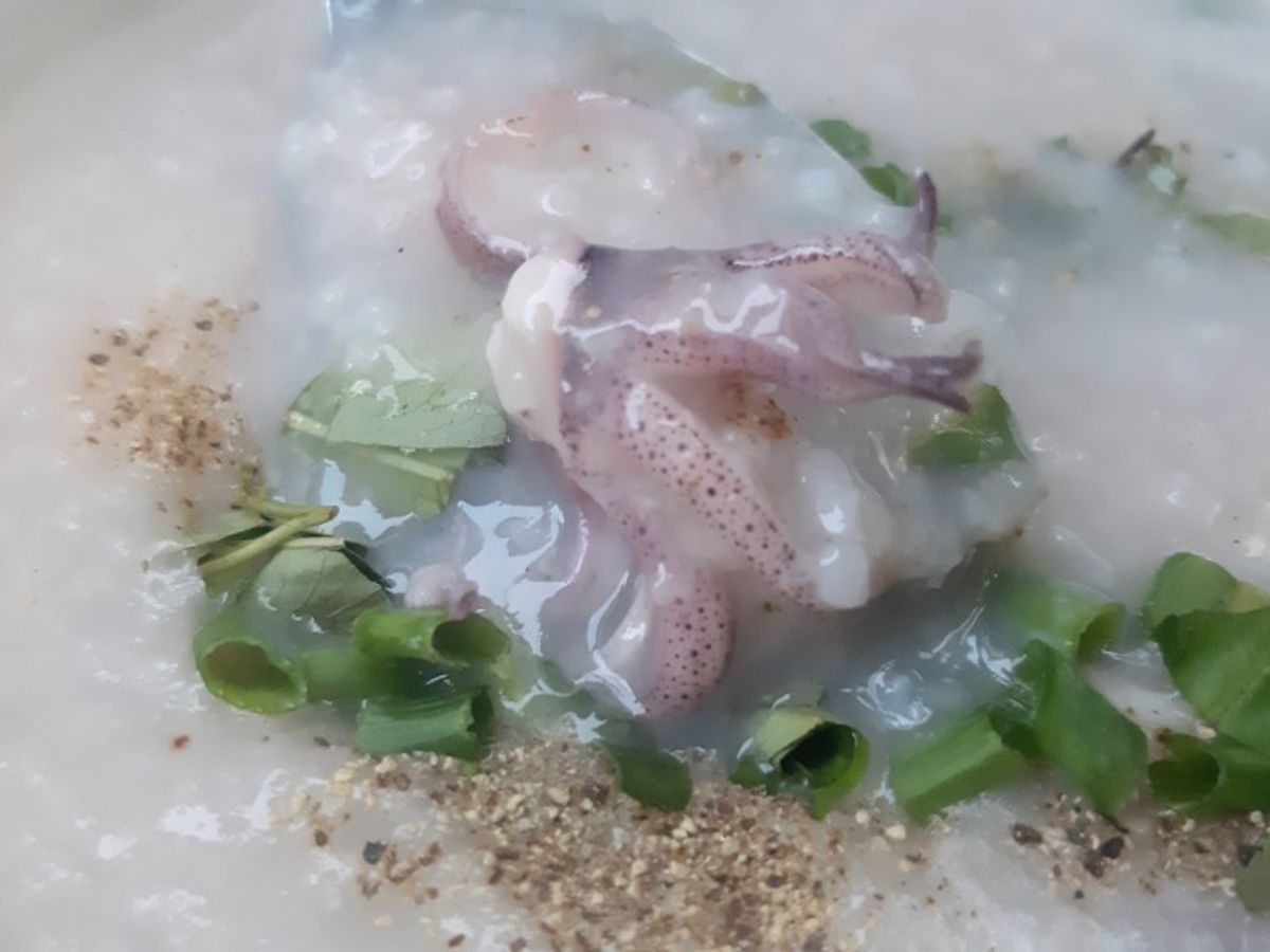 Cháo mực tươi