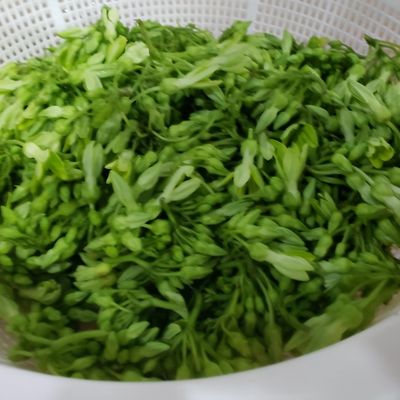 Bước 1