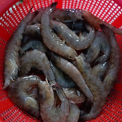 Bước 1
