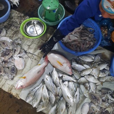 Bước 1