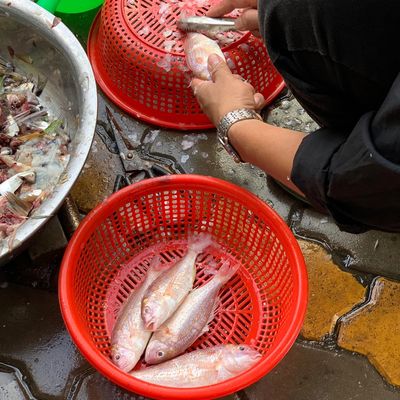 Bước 1