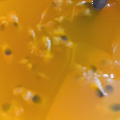 Bước 2