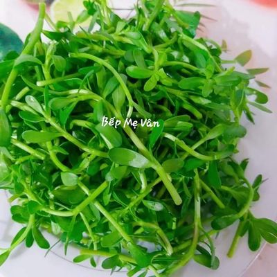 Bước 1