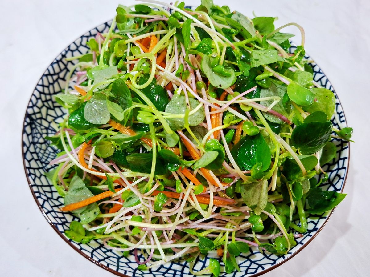 Rau mầm trộn chay