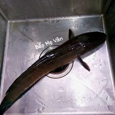 Bước 1