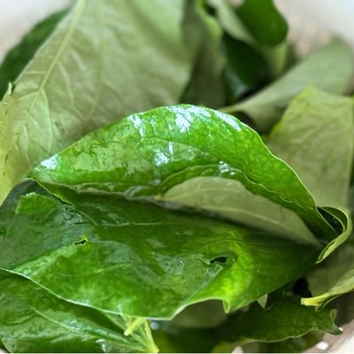 Bước 1