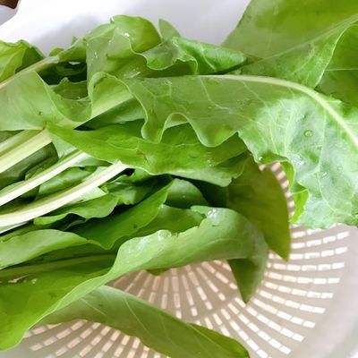 Bước 1