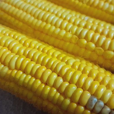 Bước 1