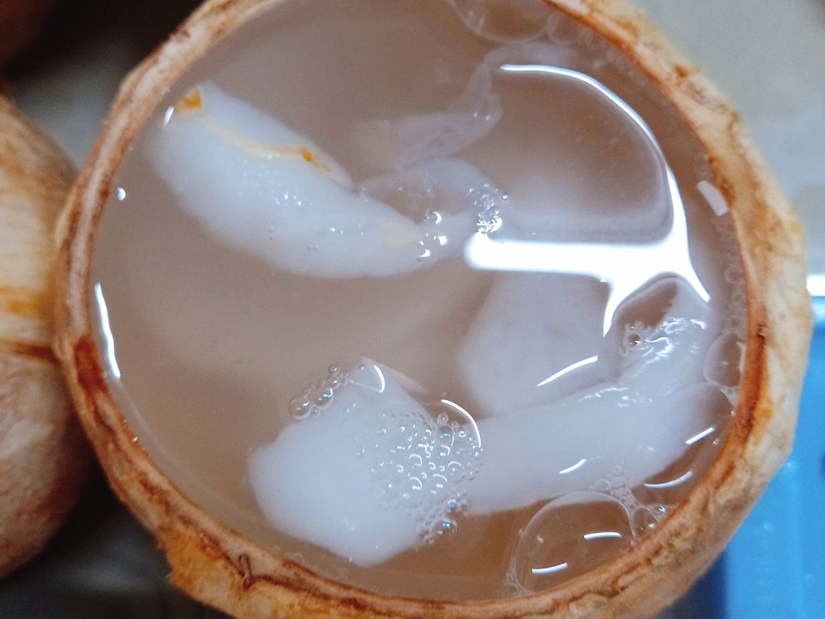 Rau câu trái dừa