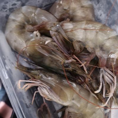 Bước 1